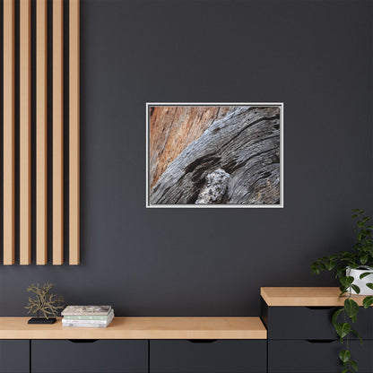 Time's Mark on Timber - Unique Stretched Canvas Wall Art - Art By Earth