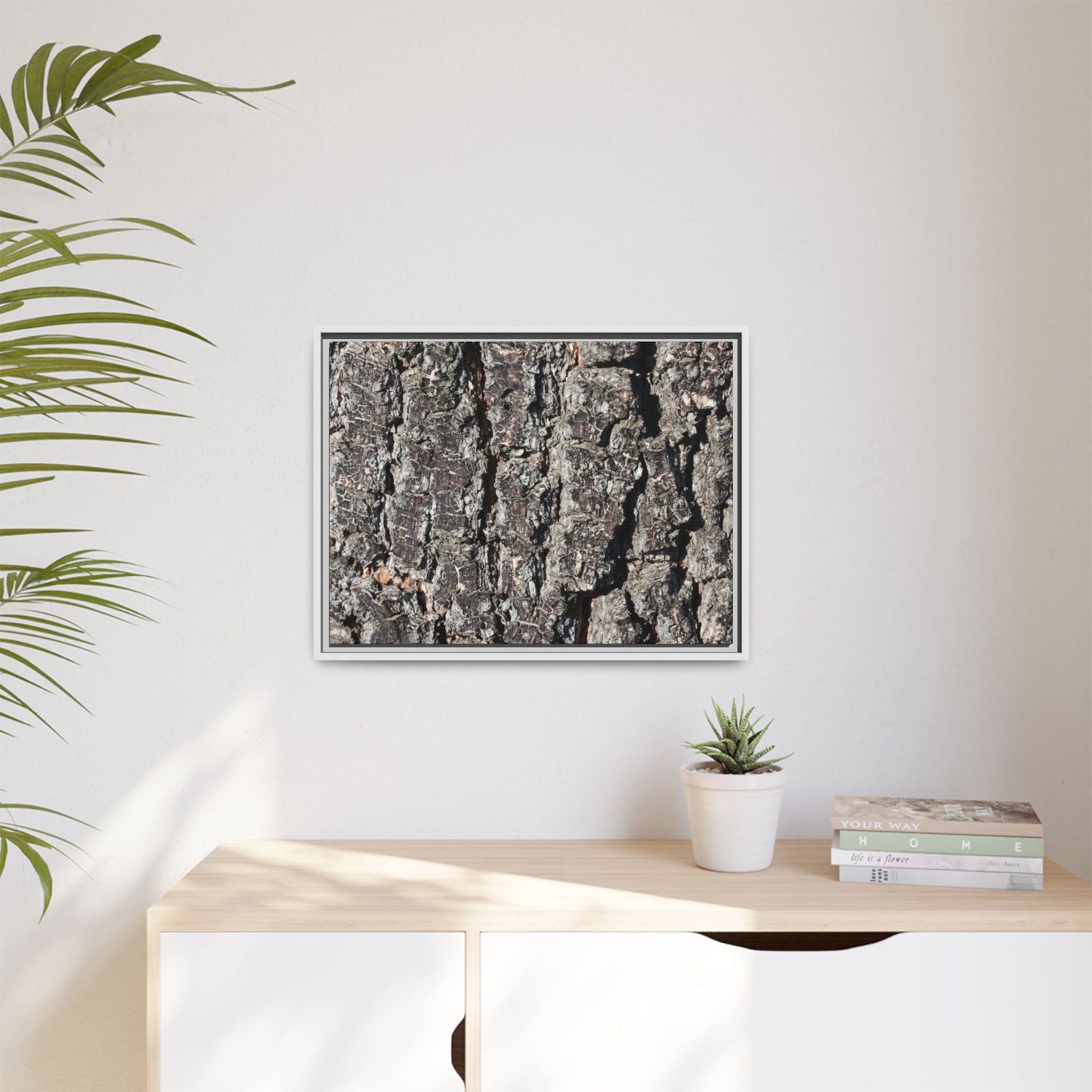 Bark Study in Gray - Unique Stretched Canvas Wall Art - Art By Earth