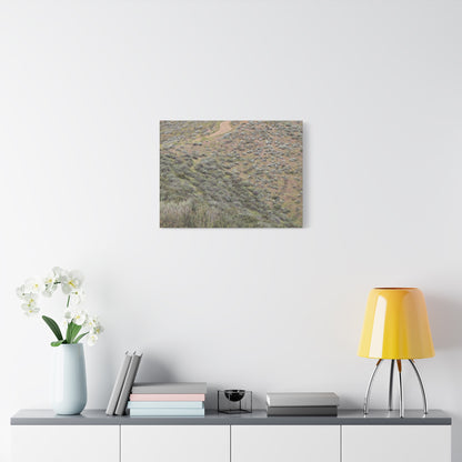 Desert Path Through Sagebrush - Unique Frameless Canvas Wall Art - Art By Earth