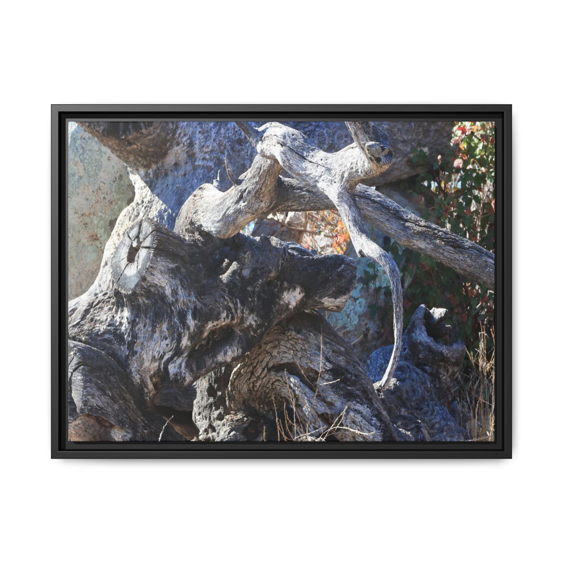 Resilient Roots - Unique Stretched Canvas Wall Art - Art By Earth