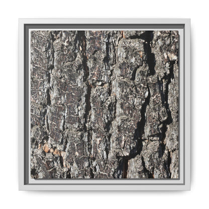 Bark Study in Gray - Unique Stretched Canvas Wall Art - Art By Earth