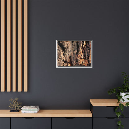 Rugged Beauty - Unique Stretched Canvas Wall Art - Art By Earth