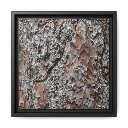 Bark Texture Symphony - Unique Stretched Canvas Wall Art - Art By Earth