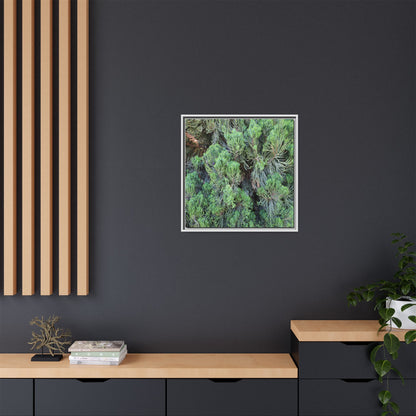 Verdant Whispers - Unique Stretched Canvas Wall Art - Art By Earth