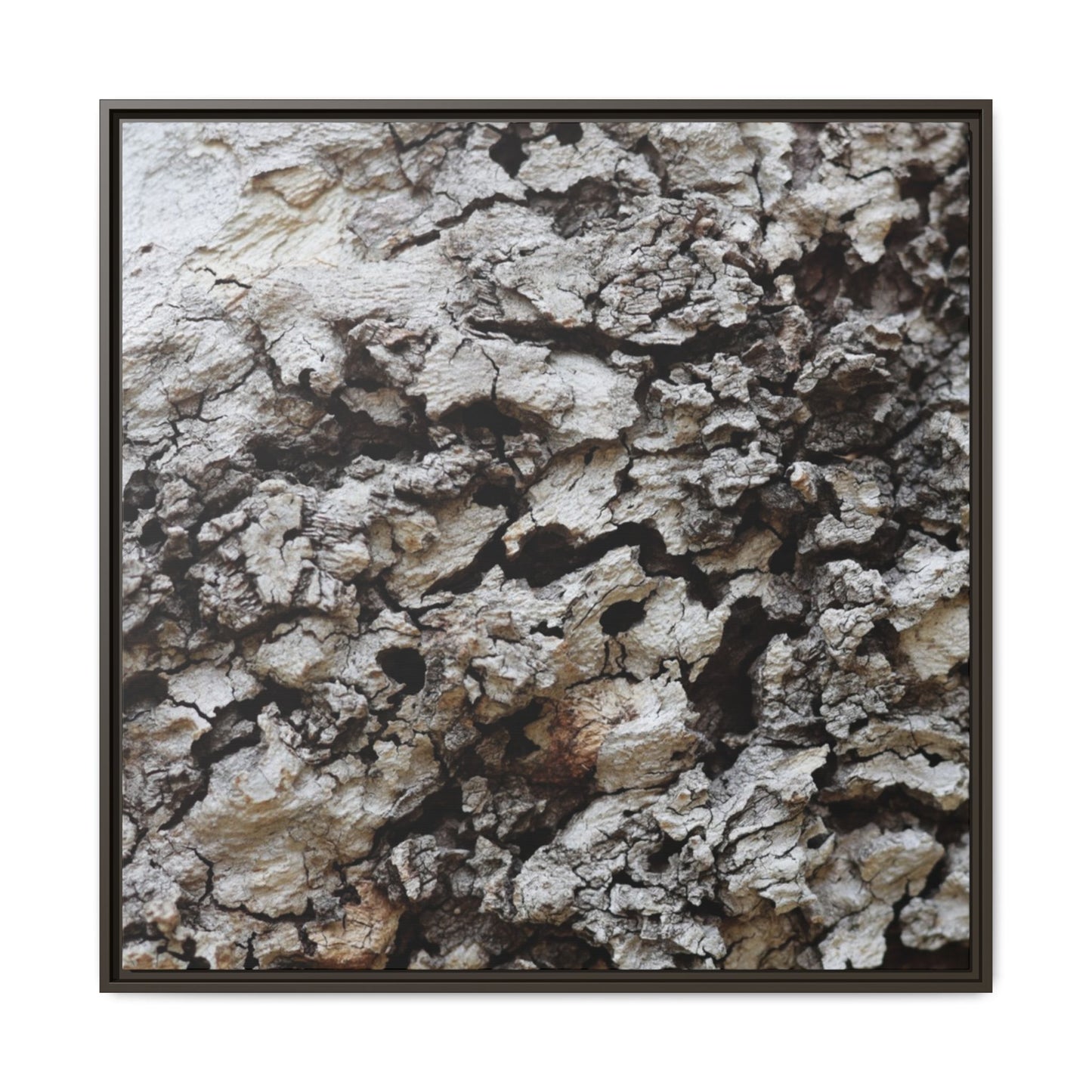 Cracked Terrain - Unique Stretched Canvas Wall Art - Art By Earth