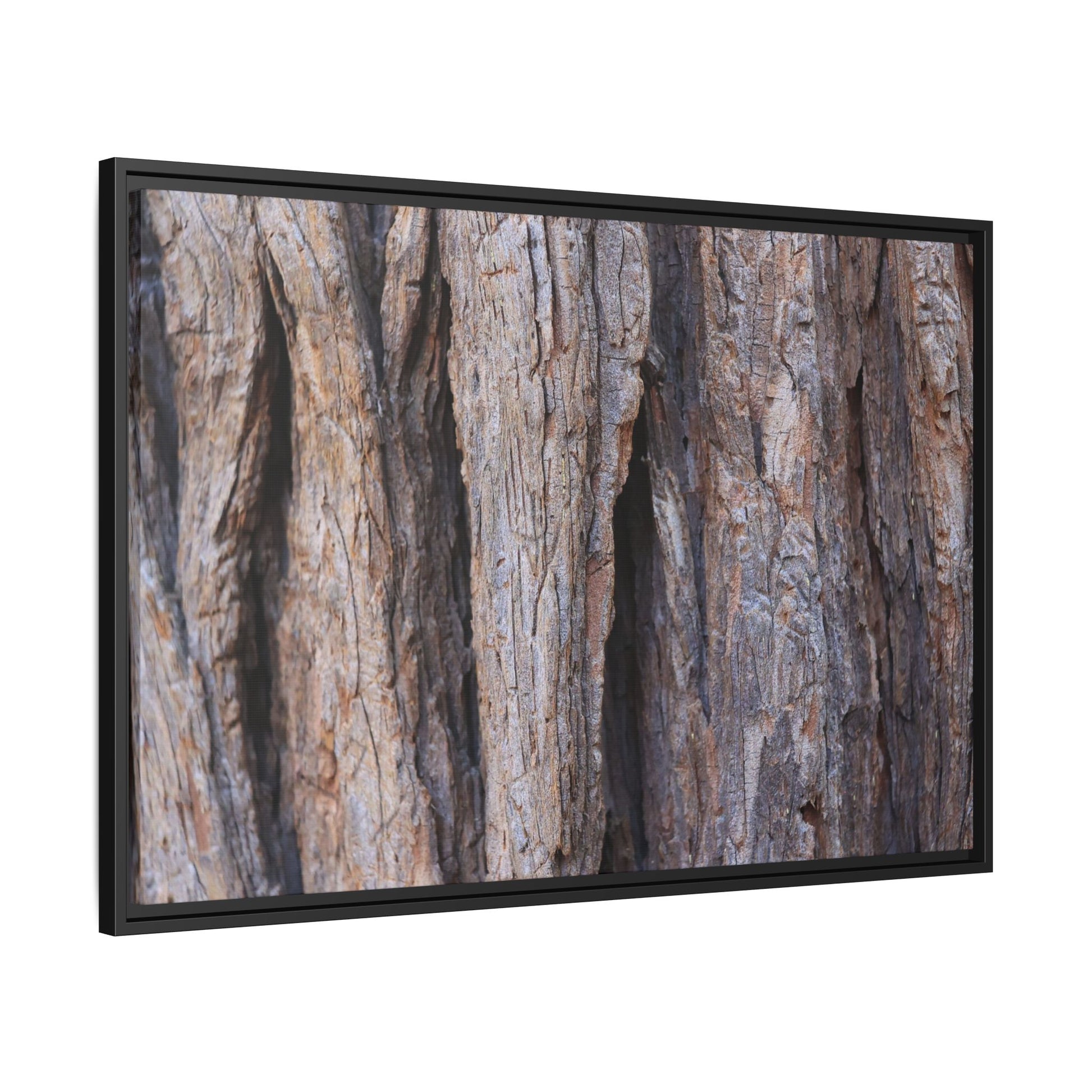 Ancient Grains - Unique Stretched Canvas Wall Art - Art By Earth