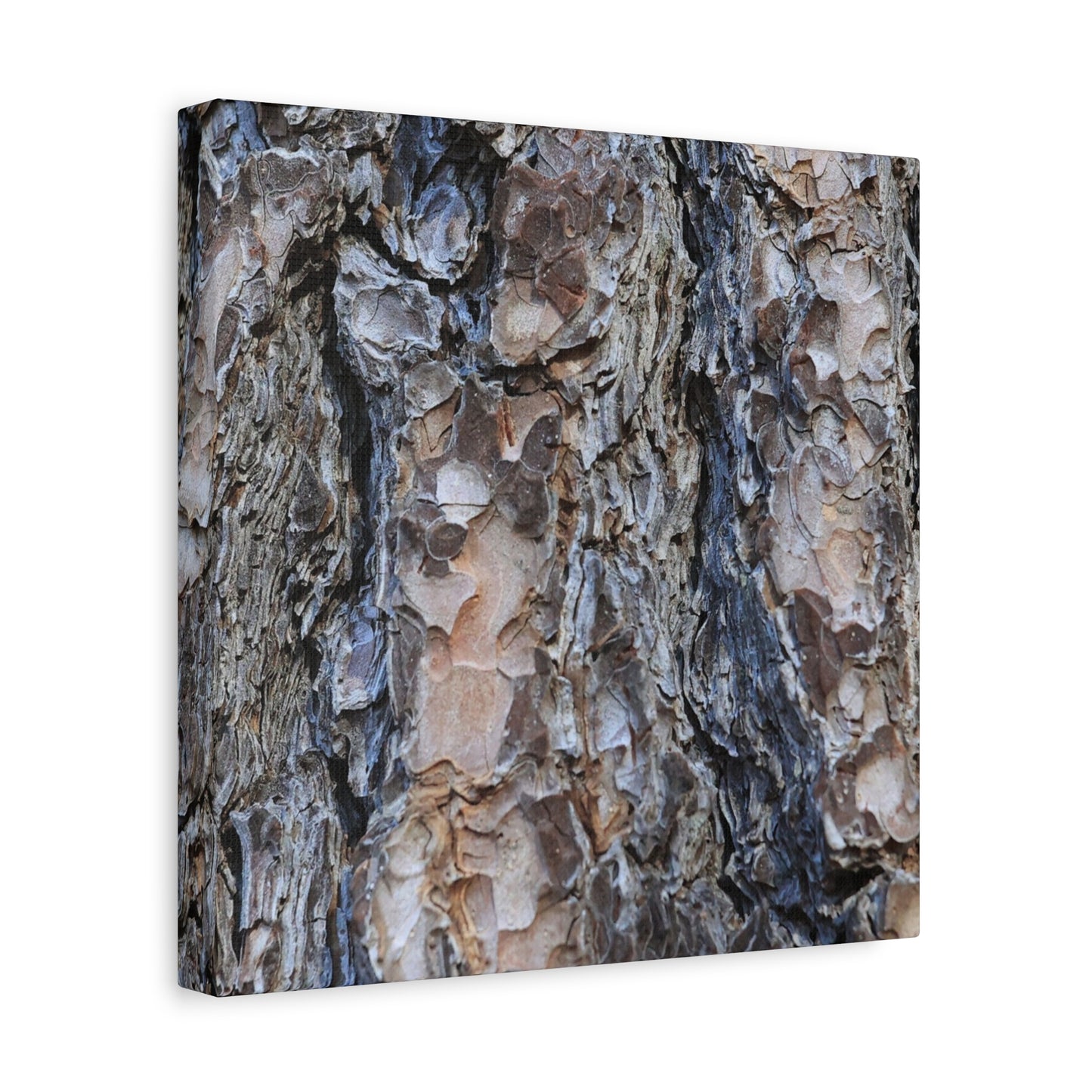 Arboreal Patterns - Unique Frameless Canvas Wall Art - Art By Earth
