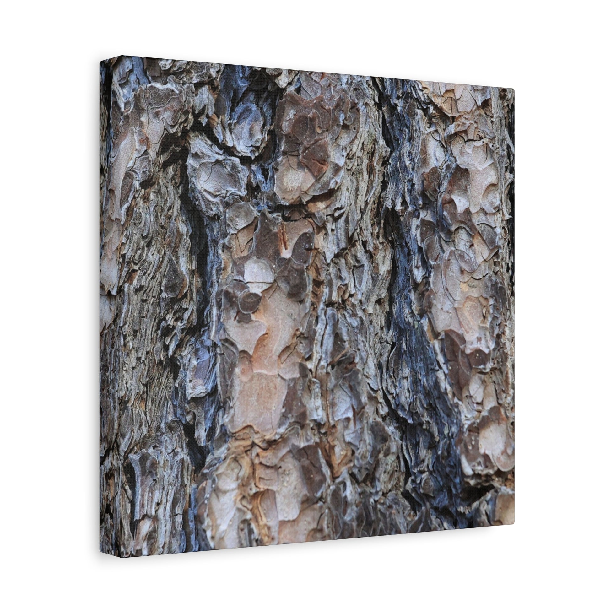 Arboreal Patterns - Unique Frameless Canvas Wall Art - Art By Earth