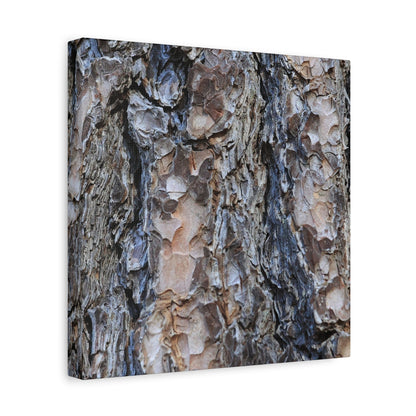 Arboreal Patterns - Unique Frameless Canvas Wall Art - Art By Earth