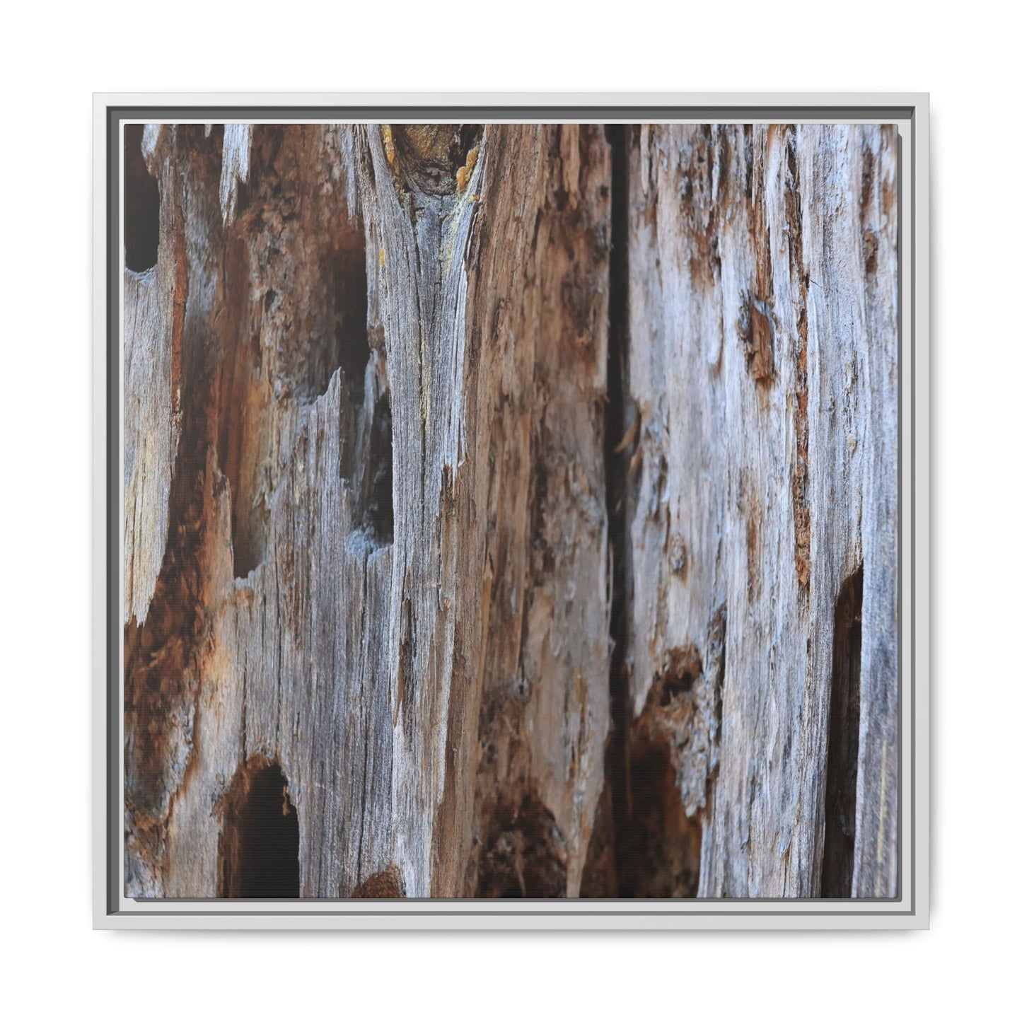 Decaying Splendor - Unique Stretched Canvas Wall Art - Art By Earth