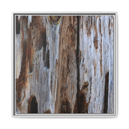 Decaying Splendor - Unique Stretched Canvas Wall Art - Art By Earth