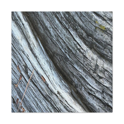 Weathered Wood Grain - Unique Frameless Canvas Wall Art - Art By Earth