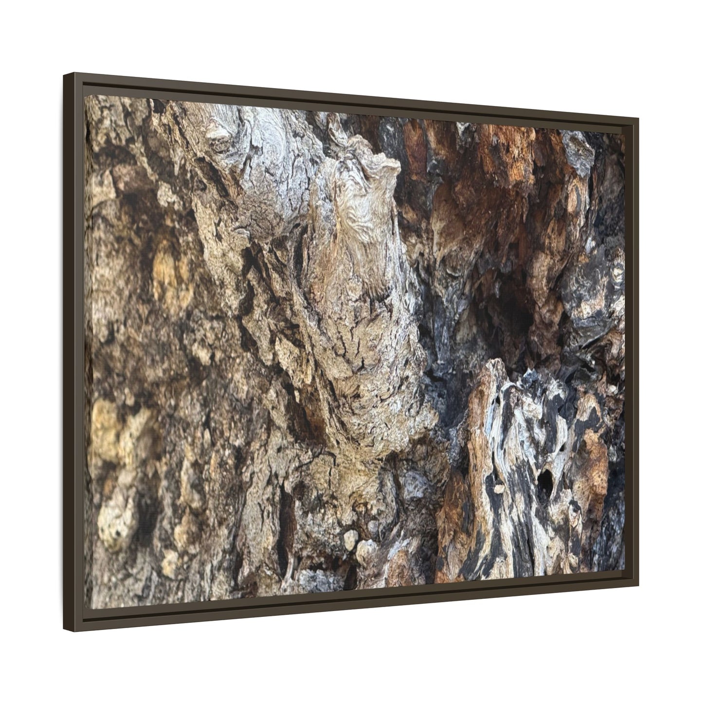Ancient Tree Texture - Unique Stretched Canvas Wall Art - Art By Earth