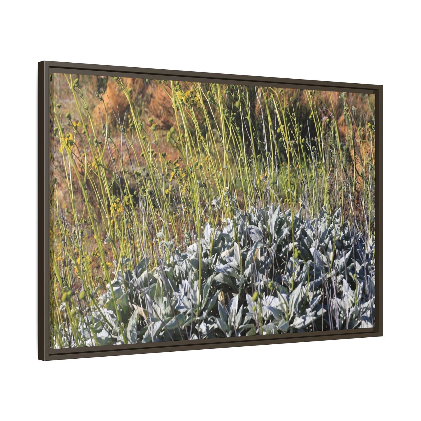Arid Landscape with Yellow Flowers - Unique Stretched Canvas Wall Art - Art By Earth