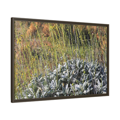 Arid Landscape with Yellow Flowers - Unique Stretched Canvas Wall Art - Art By Earth