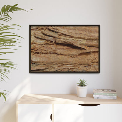 Splintered Bark - Unique Stretched Canvas Wall Art - Art By Earth