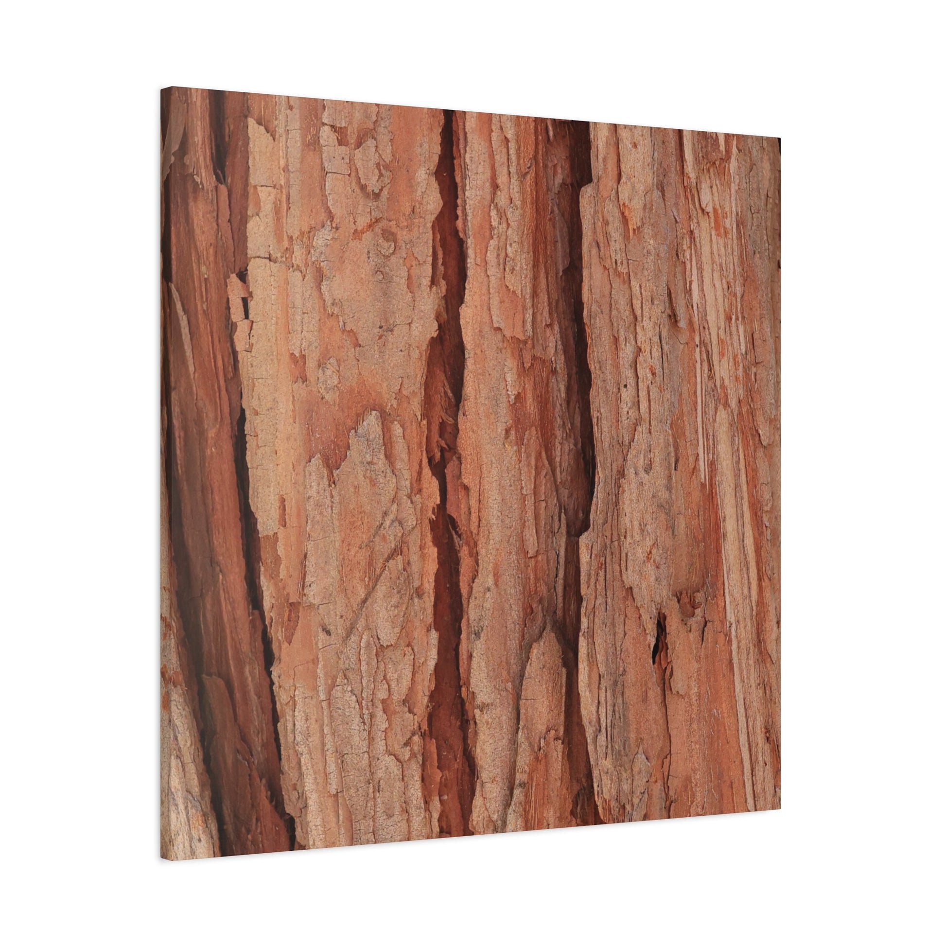 Bark Layers of Time - Unique Frameless Canvas Wall Art - Art By Earth