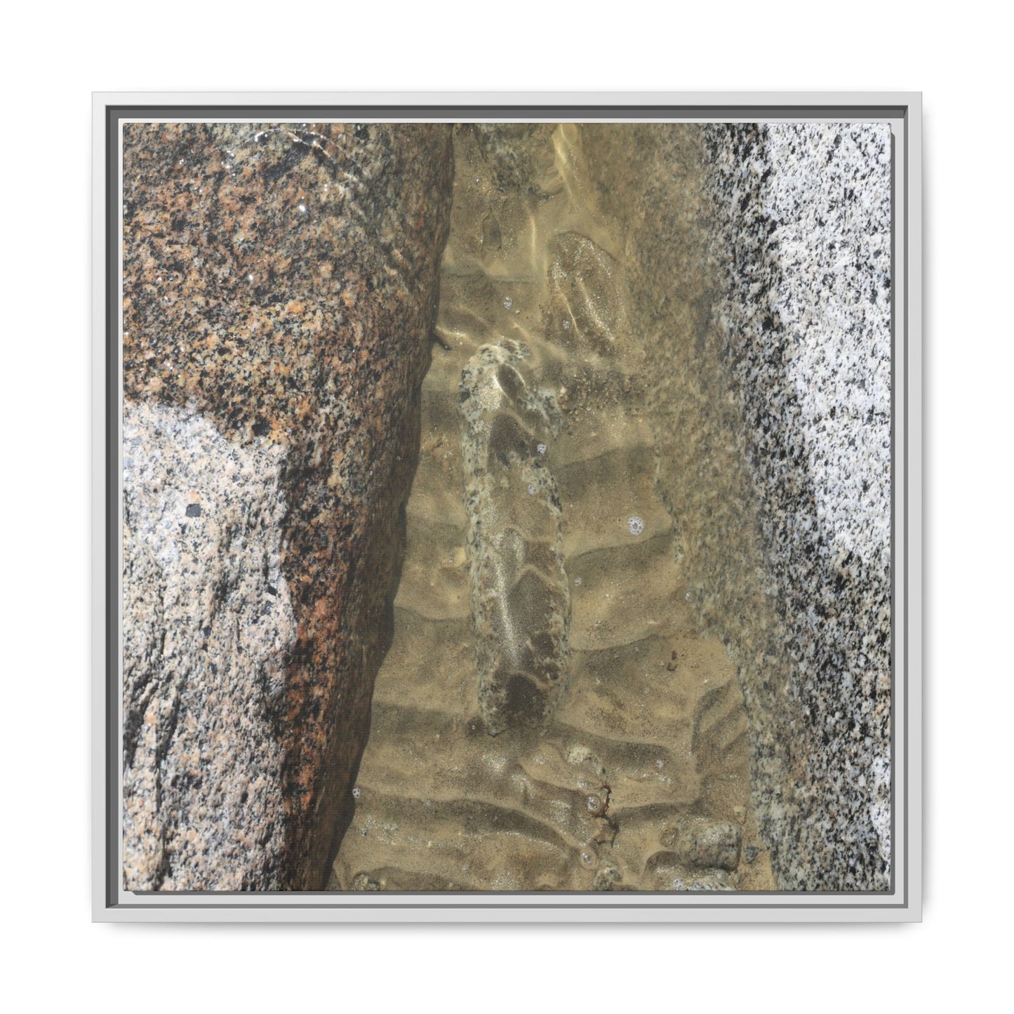 Between Concrete Walls - Unique Stretched Canvas Wall Art - Art By Earth