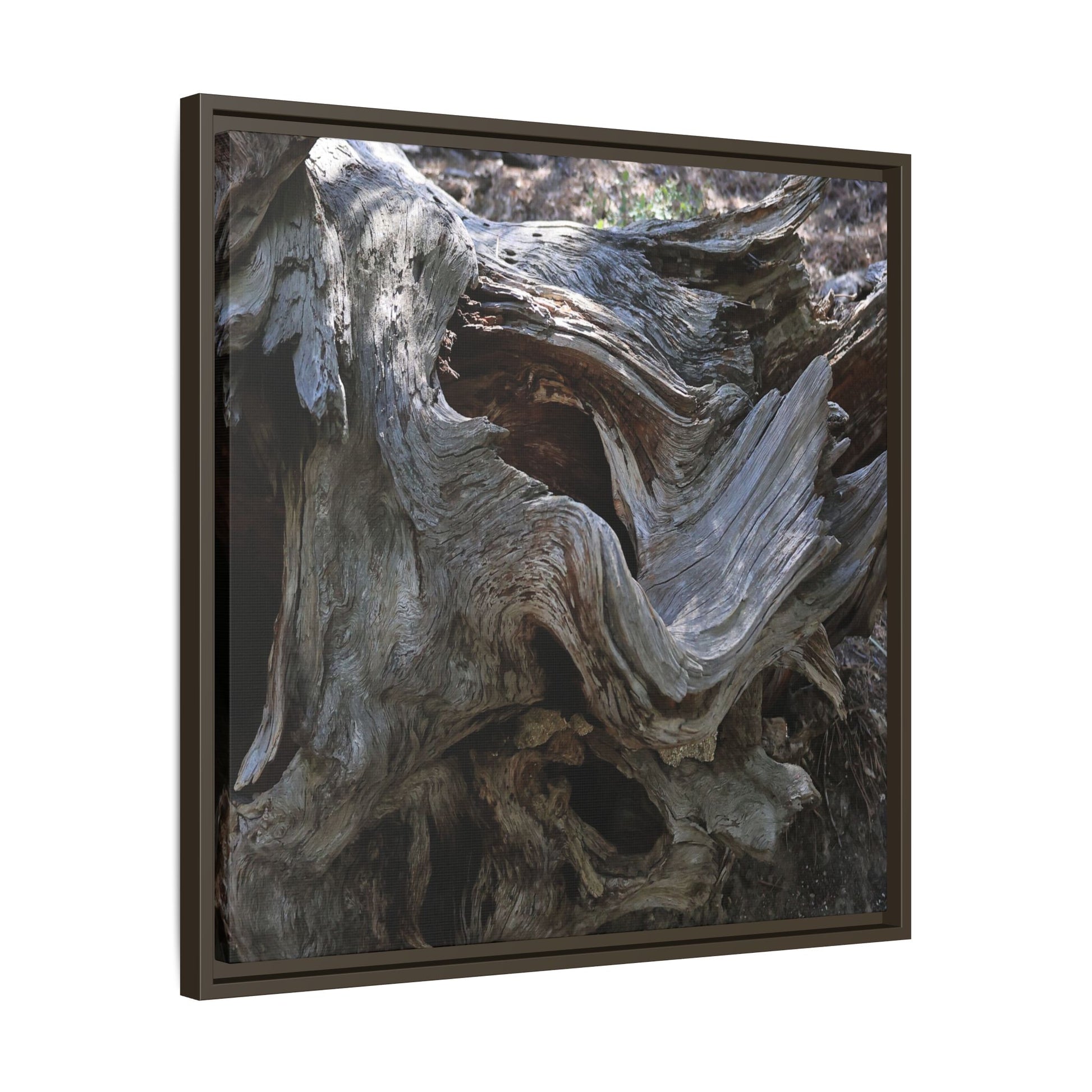 Twisted Memories - Unique Stretched Canvas Wall Art - Art By Earth