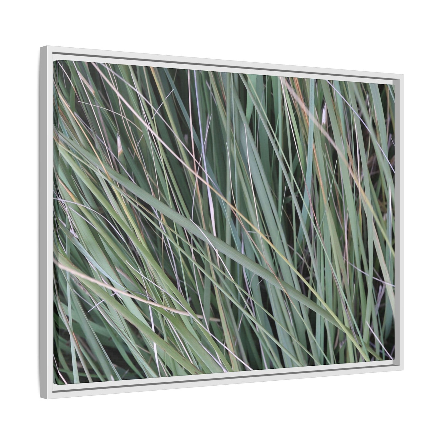 Grassland Symphony - Unique Stretched Canvas Wall Art - Art By Earth