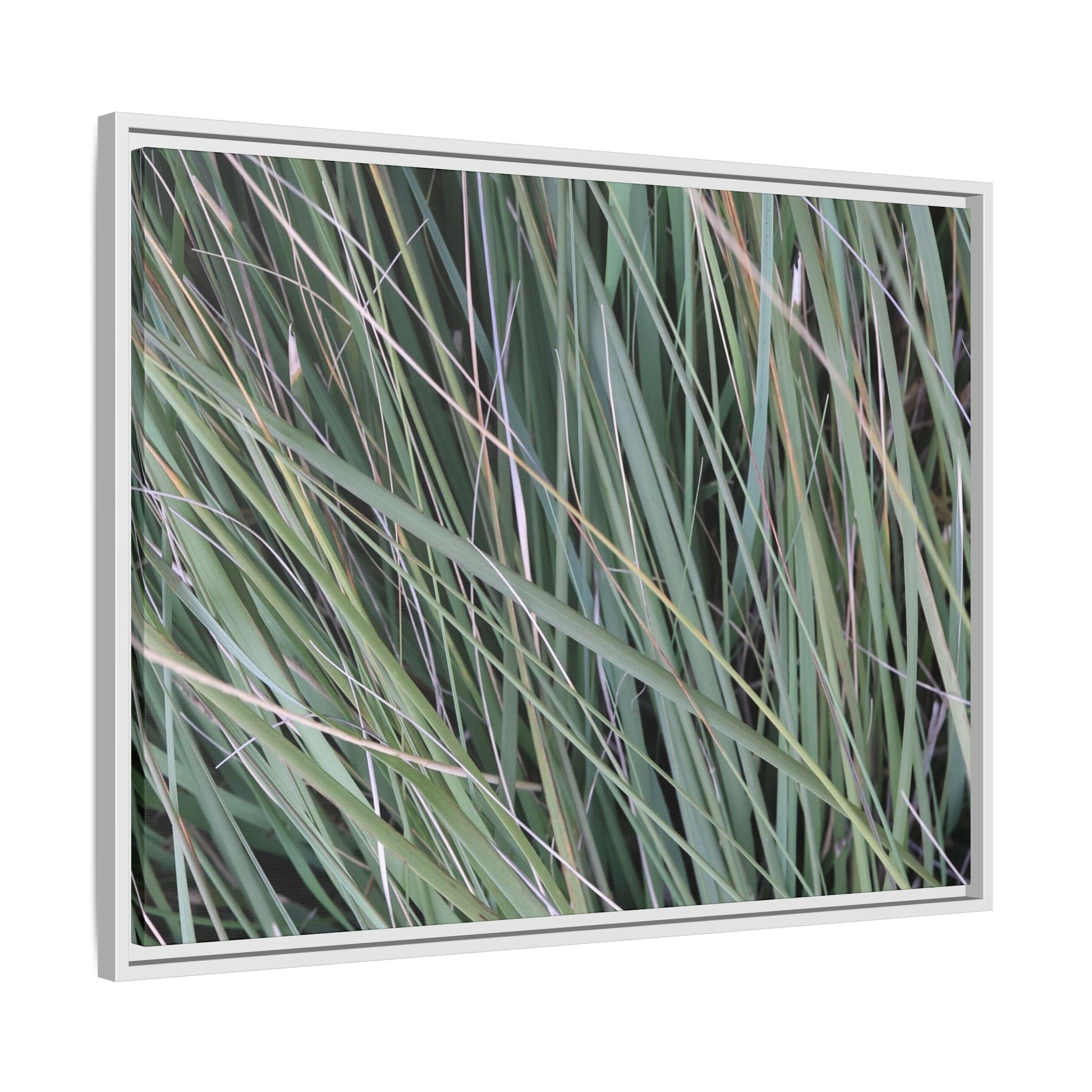 Grassland Symphony - Unique Stretched Canvas Wall Art - Art By Earth