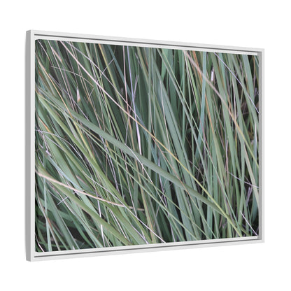 Grassland Symphony - Unique Stretched Canvas Wall Art - Art By Earth