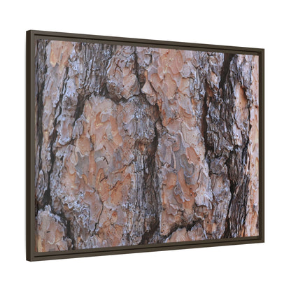 Tree Skin Symphony - Unique Stretched Canvas Wall Art - Art By Earth