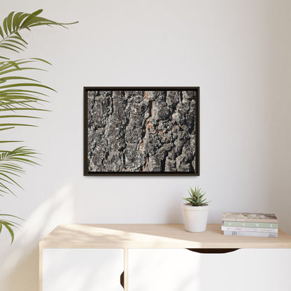 Aged Beauty - Unique Stretched Canvas Wall Art - Art By Earth