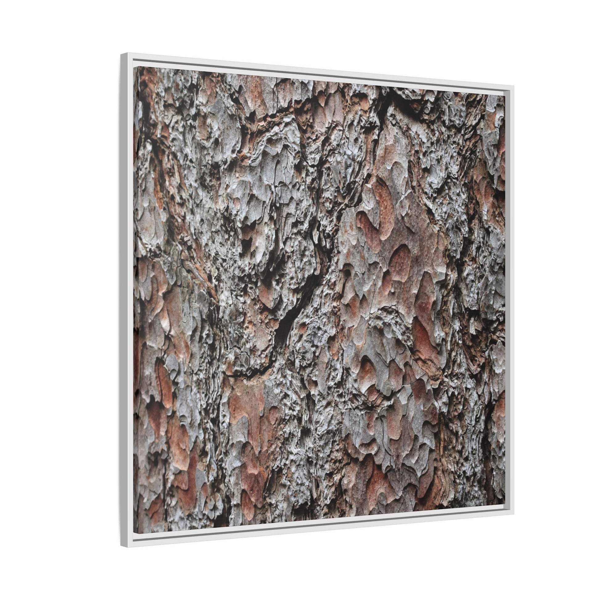 Bark Texture Symphony - Unique Stretched Canvas Wall Art - Art By Earth
