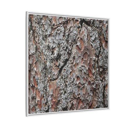 Bark Texture Symphony - Unique Stretched Canvas Wall Art - Art By Earth
