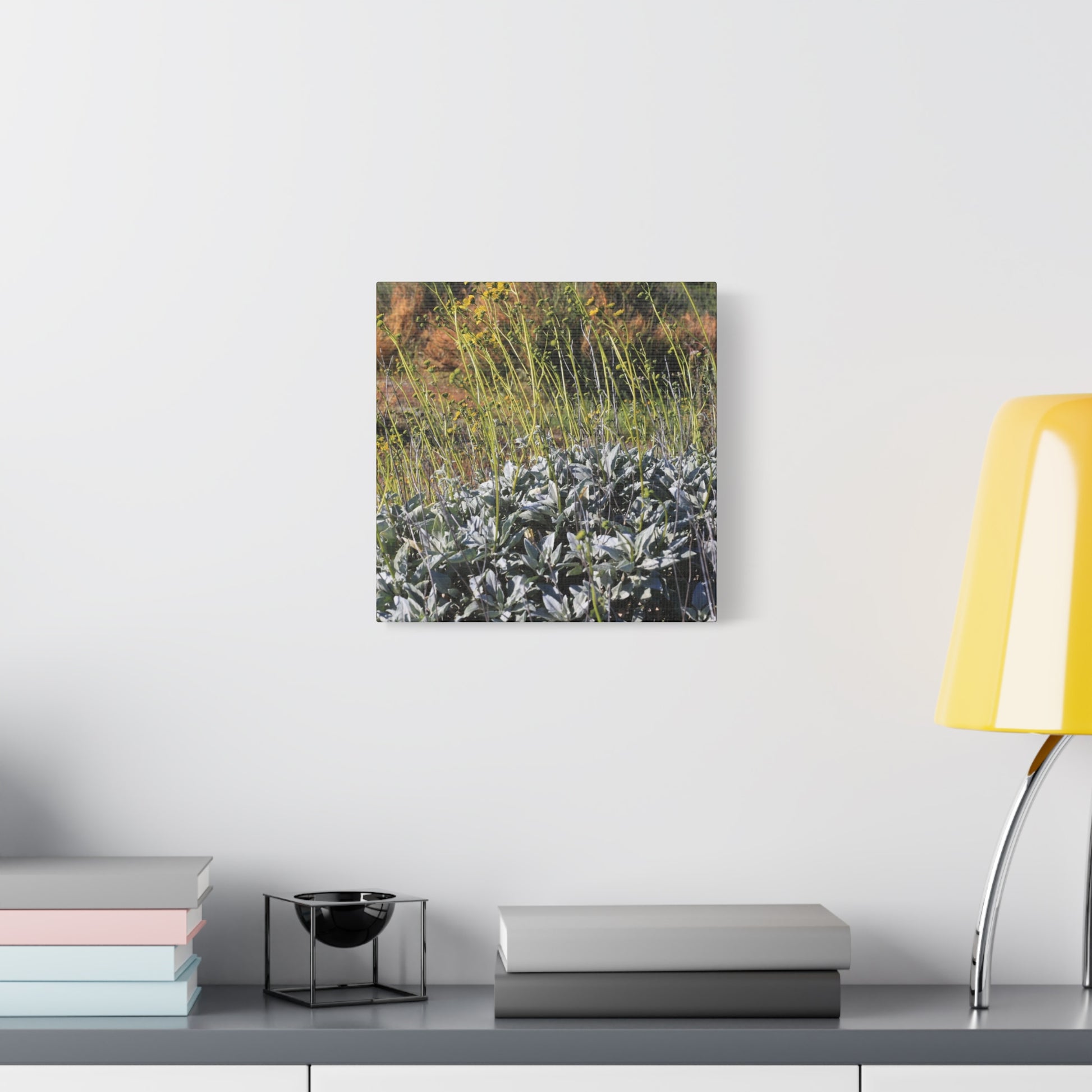 Desert Wildflowers in Bloom - Unique Frameless Canvas Wall Art - Art By Earth