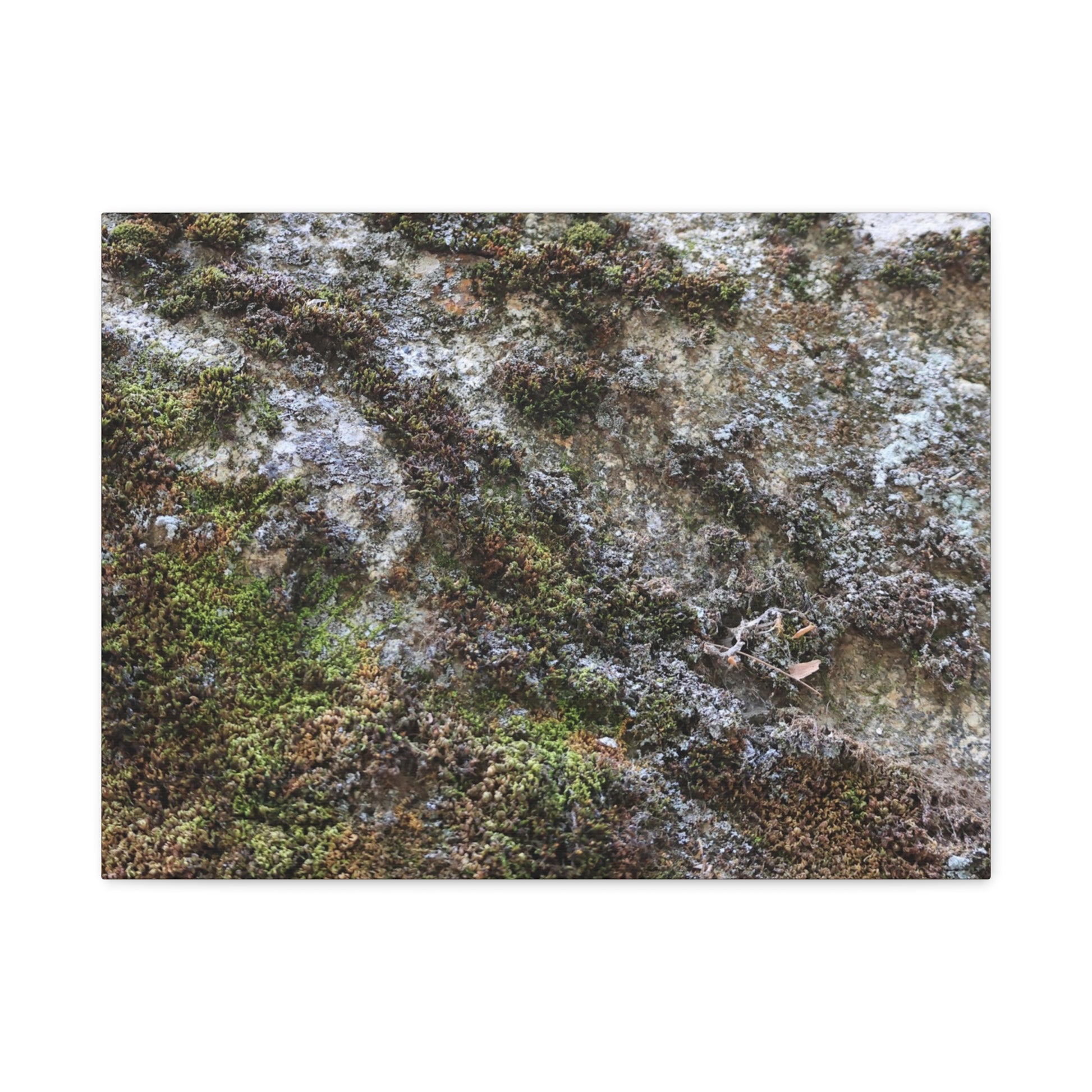 Moss Tapestry - Unique Frameless Canvas Wall Art - Art By Earth