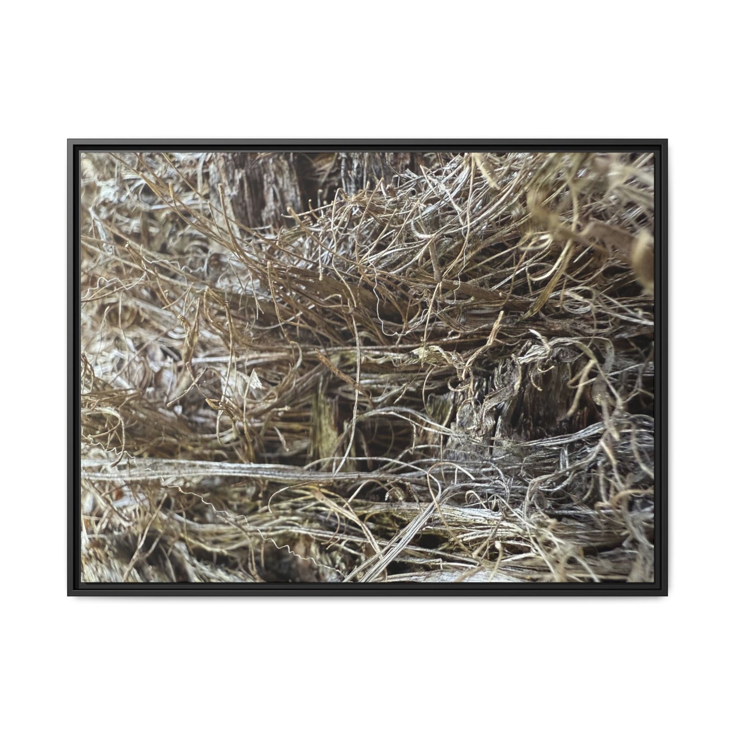 Tangled Whispers of Autumn - Unique Stretched Canvas Wall Art - Art By Earth