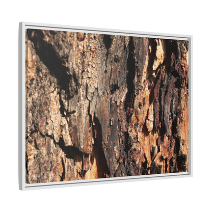 Rugged Beauty - Unique Stretched Canvas Wall Art - Art By Earth