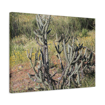 Desert Bloom in Shadow - Unique Frameless Canvas Wall Art - Art By Earth
