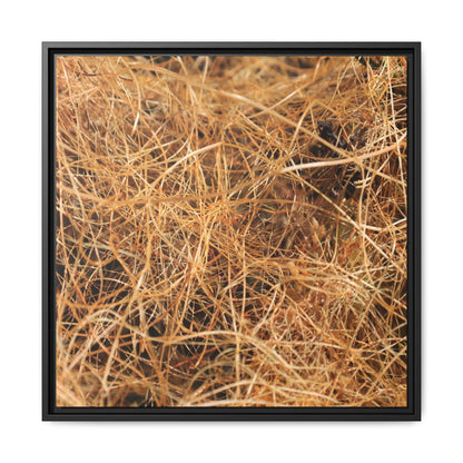 Dried Grass - Unique Stretched Canvas Wall Art - Art By Earth