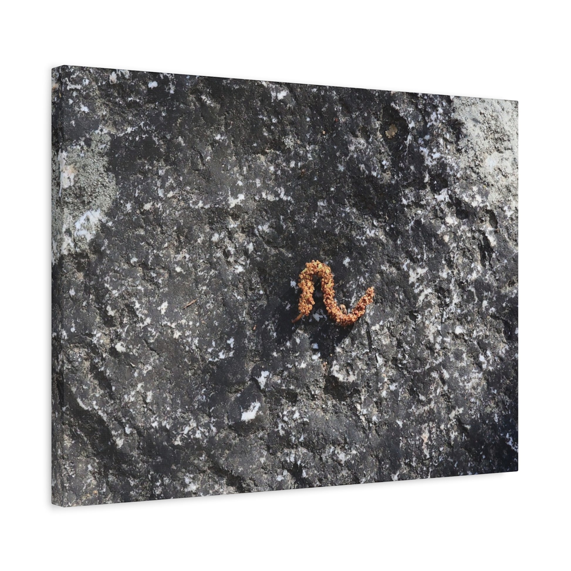 Earthen Serpent - Unique Frameless Canvas Wall Art - Art By Earth