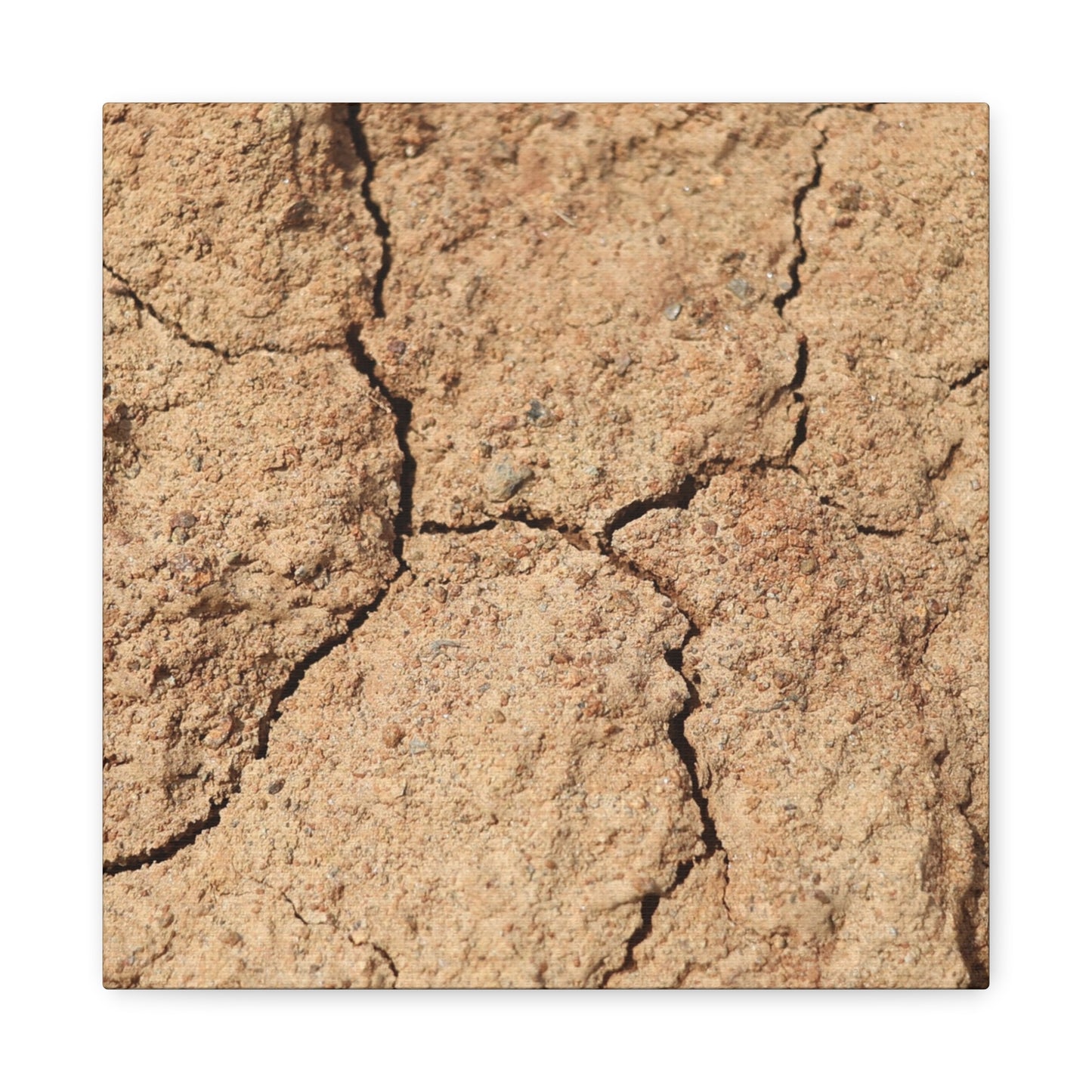 Cracked Earth's Lament - Unique Frameless Canvas Wall Art - Art By Earth