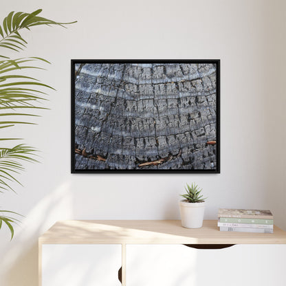 Charred Memories - Unique Stretched Canvas Wall Art - Art By Earth