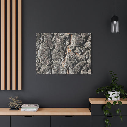 Arboreal Skin - Unique Frameless Canvas Wall Art - Art By Earth