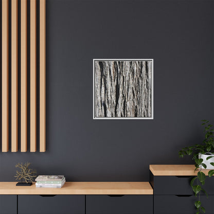 Bark Lines - Unique Stretched Canvas Wall Art - Art By Earth