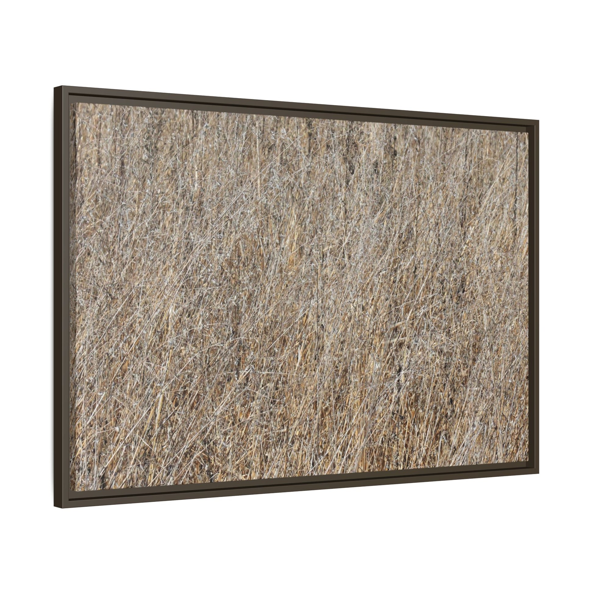 Dry Straw Symphony - Unique Stretched Canvas Wall Art - Art By Earth