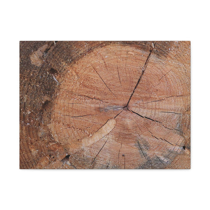 Timber Tale - Unique Frameless Canvas Wall Art - Art By Earth