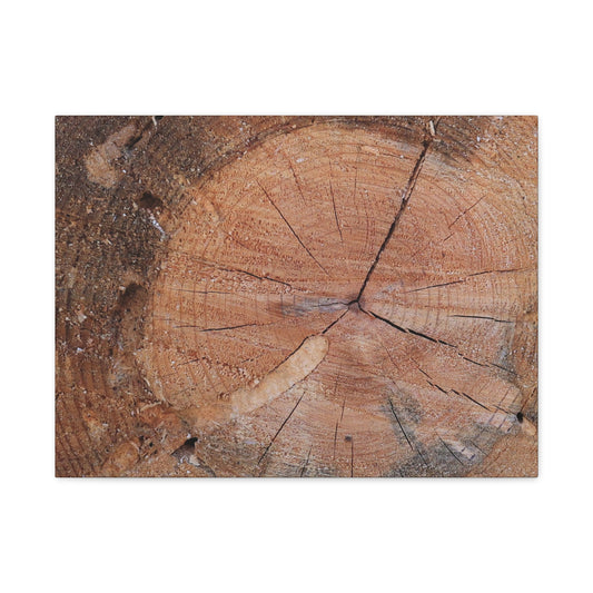 Timber Tale - Unique Frameless Canvas Wall Art - Art By Earth