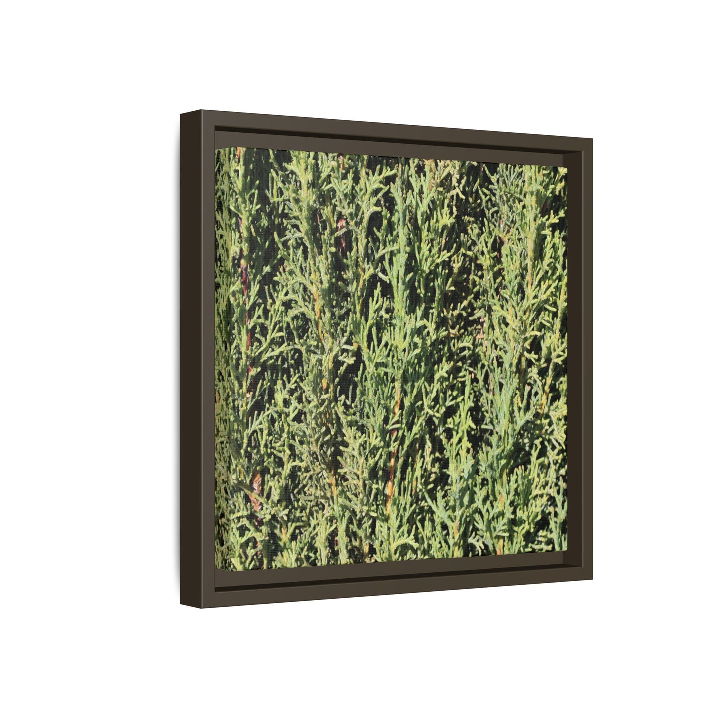 Emerald Labyrinth - Unique Stretched Canvas Wall Art - Art By Earth