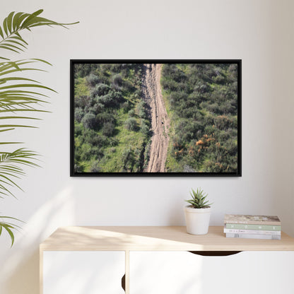 Desert Path Through Sage - Unique Stretched Canvas Wall Art - Art By Earth