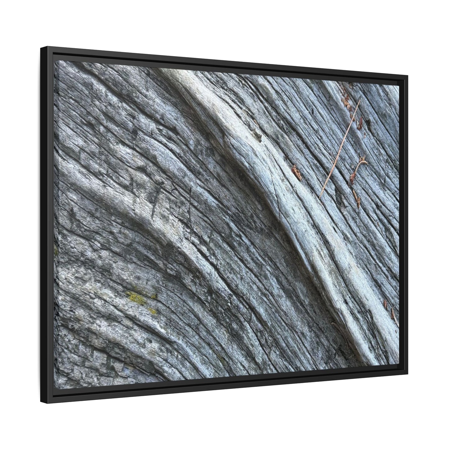 Aged Timber - Unique Stretched Canvas Wall Art - Art By Earth