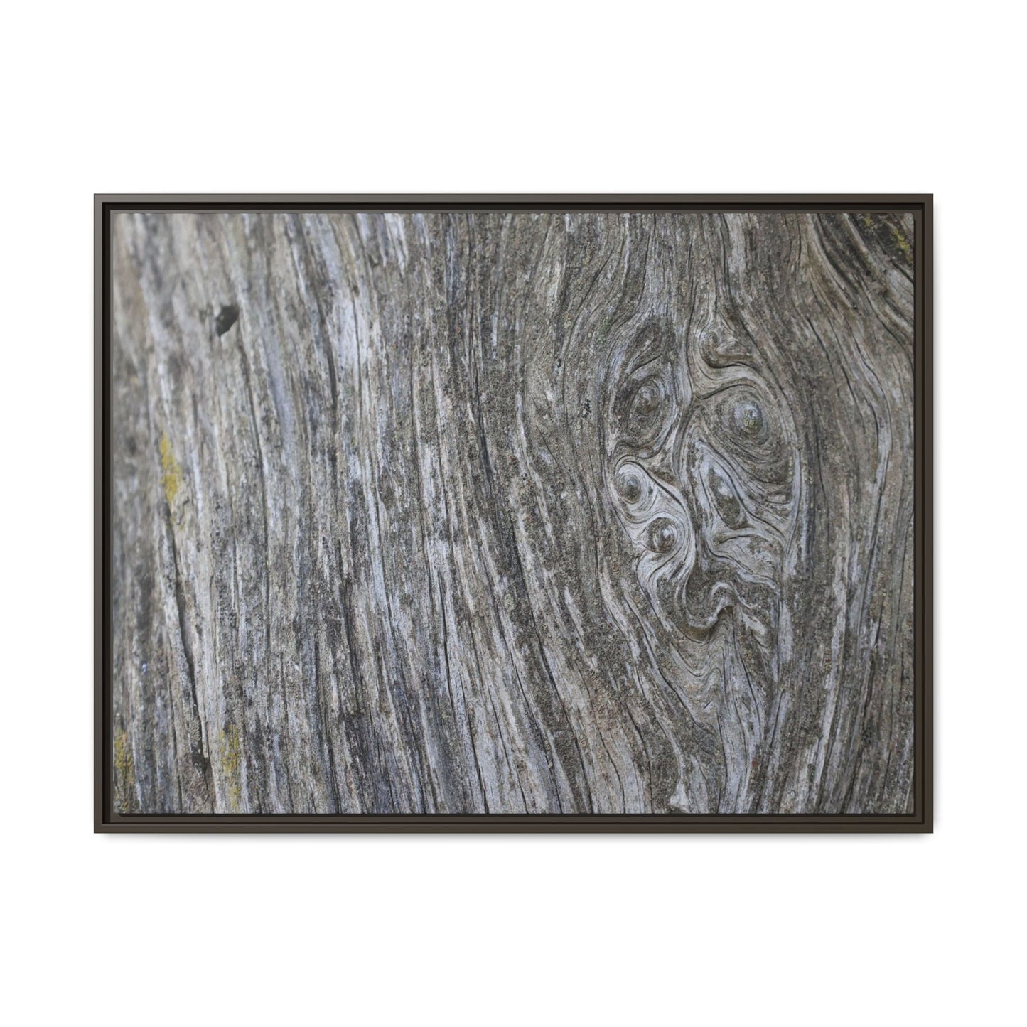 Eternal Knots - Unique Stretched Canvas Wall Art - Art By Earth