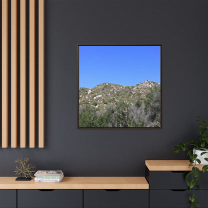 Sparse Vegetation - Unique Stretched Canvas Wall Art