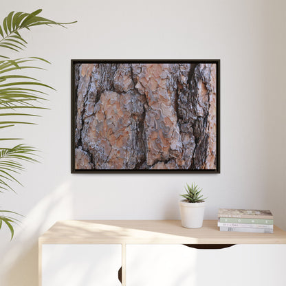 Tree Skin Symphony - Unique Stretched Canvas Wall Art - Art By Earth